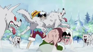 perjuangan bertahan hidup Luffy dan bon kurei