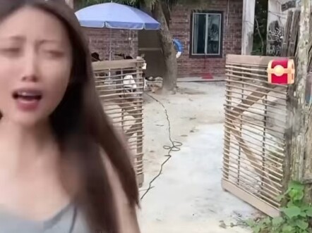 I just love listening to Cantonese speakers talk in Mandarin.