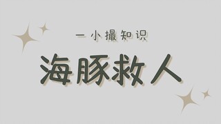 Ada dua versi tentang lumba-lumba yang menyelamatkan orang