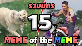 รวมมิตร ภาพนี้ก็ฮาเหมือนกันนะเนี้ย #15 [ พากย์นรก MEME.EXE ] | easy boy