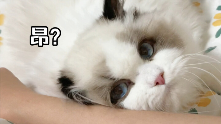 Go on! Say you want to be number one in the world with me, the very best!