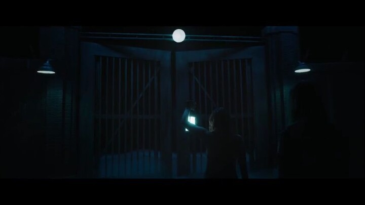Insidious chapter 4