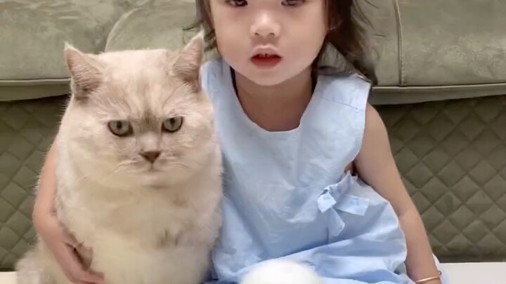 Ternyata dari sudut pandang anak kecil, kita benar-benar tidak lebih dekat dengan kucing!