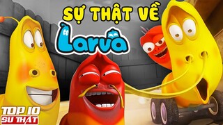 Top 10 Sự Thật Thú Vị về “Ấu trùng Larva” | Top 10 Hoạt Hình