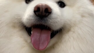 I think it's so cute