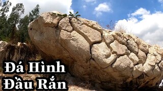 Kì Lạ Hòn Đá Giống Hình Đầu Rắn Khổng Lồ