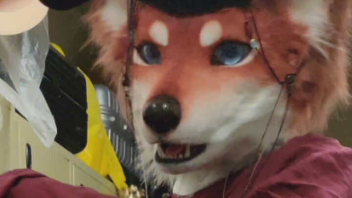 Tức giận đến mức phá hỏng hết #FURSUIT#