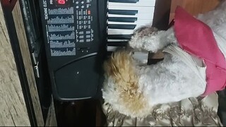 VID