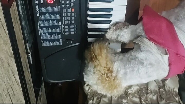 VID