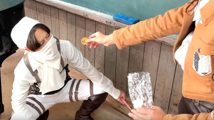 【Serangan terhadap Pembersihan Titan】