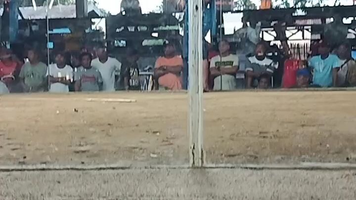 2 hits ulutan champion 2nd fight win sarasa vs sarasa