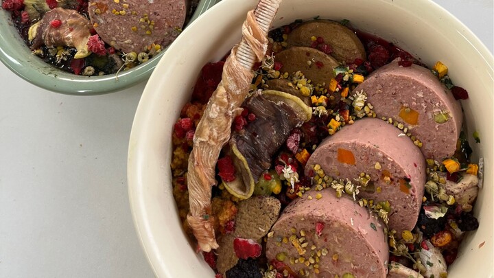 وجبة واحدة لثلاثة كلاب من فصيلة تشاو تشاو