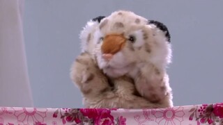 Tập 20. Gọi Yêu Thương