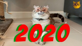 พี่เฉโปอวยพรปีใหม่ 2020