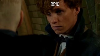 Grindelwald (phiên bản dễ thương), Chúa tể Hắc ám đẹp mắt hơn nhiều so với Voldemort!