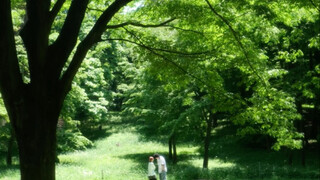 "Love is their last idealism."