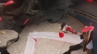 sad story of hong die