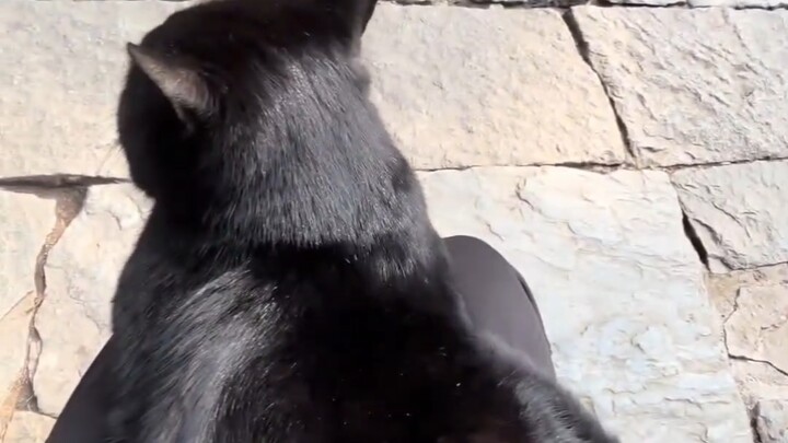 Mi: Human, you're so warm!