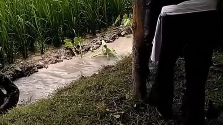 silat tersangar di +62