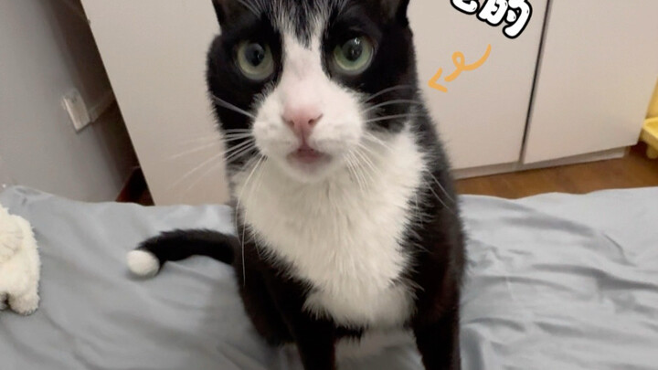 Tuyệt quá, là võ tướng!