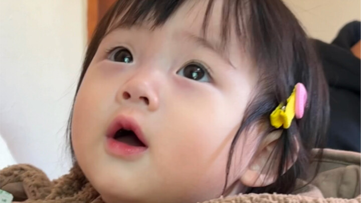 ลูกหมีน้อยผู้ชอบเข้าสังคม