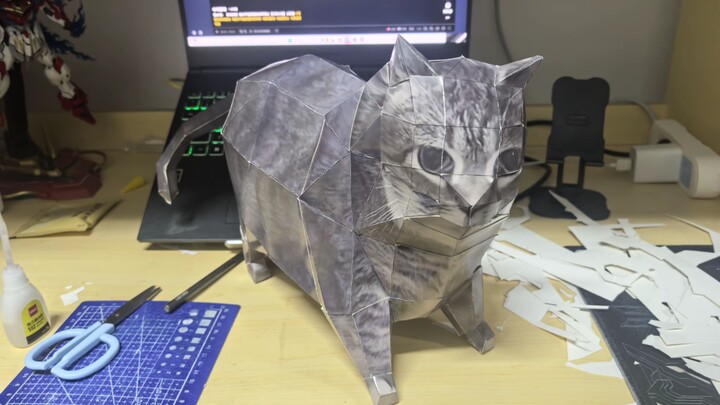 Kucing baik yang selalu siap sedia di asrama!