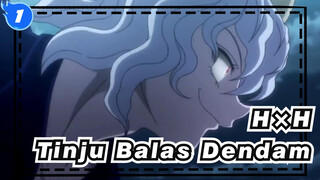[HUNTER×HUNTER] Epik! Tinju Balas Dendam_1