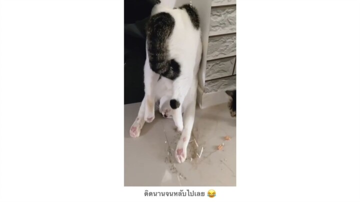ติดนานจนหลับไปเลย