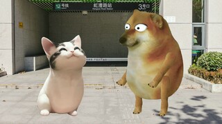 今天又省了几百块钱，太开心了