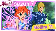 Winx Club - Sezon 7 Bölüm 11 - Ormanda Görev