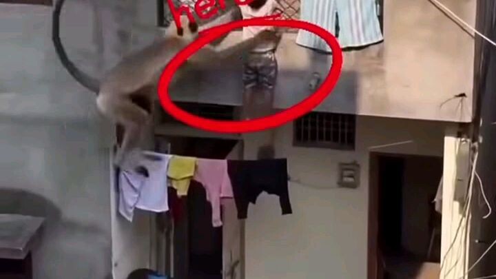 একটুর জন্য রক্ষা পেল