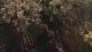 Hành Tinh Xanh EP 1 [Sub Việt]