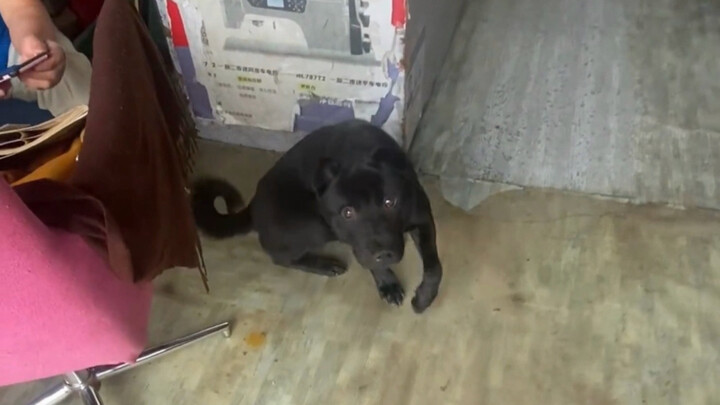 ไม่ได้เจอหมาเดือนนึง แทบจำไม่ได้เลย