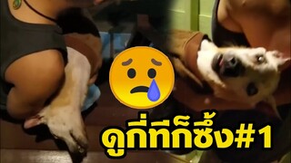สุดซึ้งความรักของคนกับหมา - ดูกี่ทีก็ซึ้ง #1