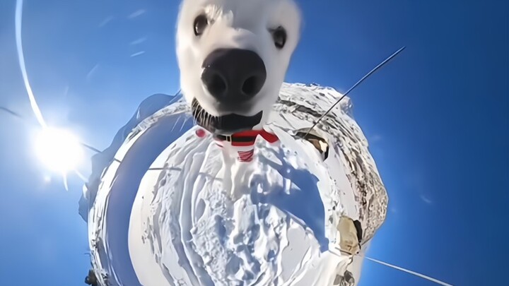 “Mời người dễ thương nhất vào xem!”