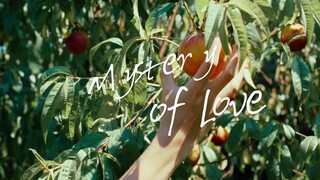 I Embrace You in Summer | Mystery of Love | Call Me by Your Name