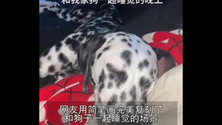 众所周知，当铲屎官和狗子一起睡觉都有这个烦恼