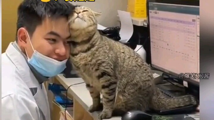 It's okay, the kitten will heal you~
