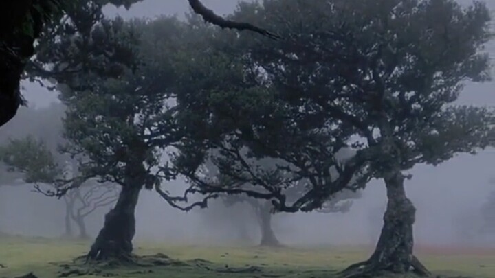 “Sebenarnya orang seperti apa sih yang suka suasana kayak gini～”