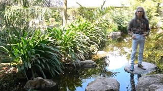 #AjarnDaeng 의 다르마의 가르침 #daengguitar #อาจารย์แดง