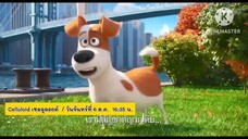 Celluloid เรื่องป่วนๆที่ความลับของสัตว์เลี้ยง ใน The Secret Of Pets วันจันทร์ที่ 6 ต.ค.เวลา 16.35น.