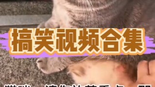 Ternyata Golden Retriever suka mandi seperti ini...