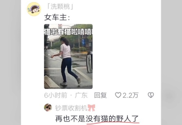 Haha, đôi mắt cô gái trẻ cứ sáng rồi tối lại sáng