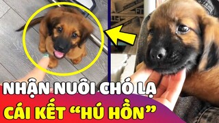 Con Sen về quê chơi 'NHẬN NUÔI' bé cún nhà hàng xóm và 'CÁI KẾT' ngỡ ngàng | Gâu Đần