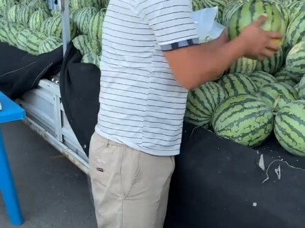 What’s this variety? #Watermelon  #Watermelon #Liu Huaqiang’s Watermelon Shopping Chronicles