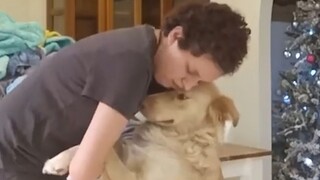 “Đó có lẽ là lý do tại sao mọi người nuôi chó.”