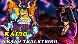 One Piece 1003 Spoiler đầy đủ - Hình dạng Rồng Hybird của Kaido - Luffy cạn kiệt Haki Gear 4
