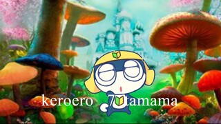 tamama wonderland  2025
