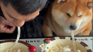 Tôi thi ăn mì với cún cưng, nó lại có thể ăn một sợi mì từ đầu đến cuối mà không đứt, quá đỉnh luôn 