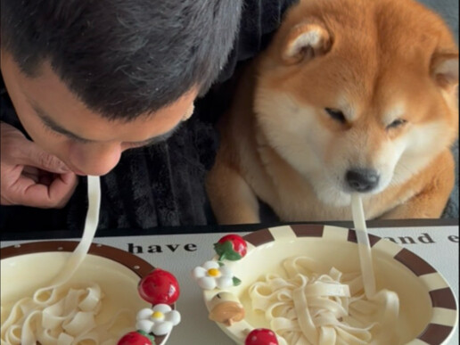My dog and I had a noodle-eating contest—surprisingly, it managed to eat an entire noodle from start